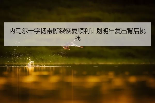 nei-ma-er-shi-zi-ren-dai-si-lie-hui-fu-shun-li-ji-hua-ming-nian-fu-chu-bei-hou-tiao-zhan-2-818.jpg