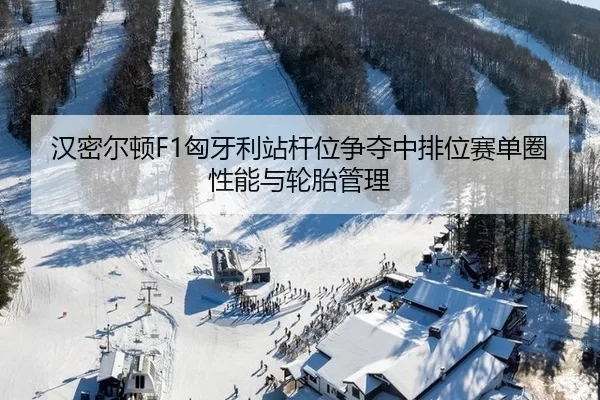 han-mi-er-dun-xiong-ya-li-zhan-gan-wei-zheng-duo-zhong-pai-wei-sai-dan-quan-xing-neng-yu-lun-tai-guan-li-3-323.jpg